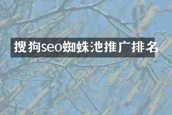 搜狗seo蜘蛛池推广排名