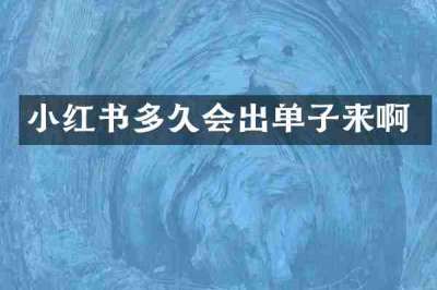 小红书多久会出单子来啊