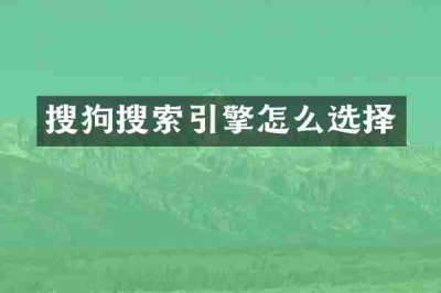 搜狗搜索引擎怎么选择