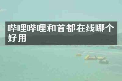哔哩哔哩和首都在线哪个好用