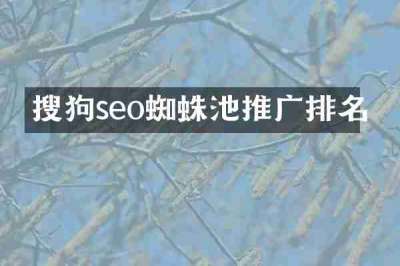搜狗seo蜘蛛池推广排名