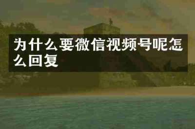 为什么要微信视频号呢怎么回复