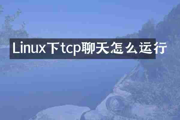 Linux下tcp聊天怎么运行