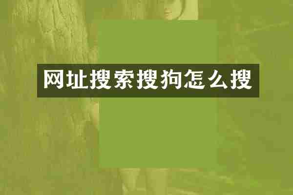 网址搜索搜狗怎么搜