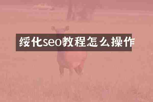 绥化seo教程怎么操作