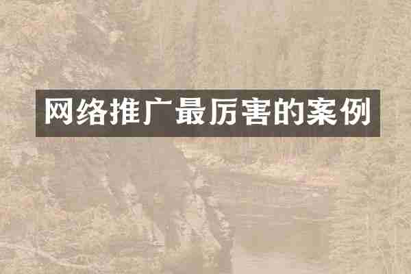 网络推广最厉害的案例
