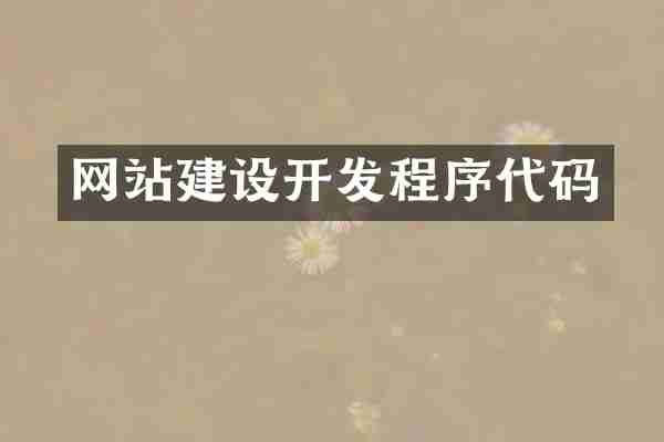 网站建设开发程序代码