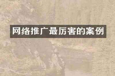 网络推广最厉害的案例
