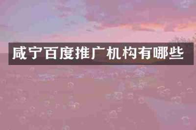 咸宁百度推广机构有哪些