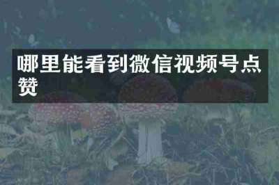 哪里能看到微信视频号点赞