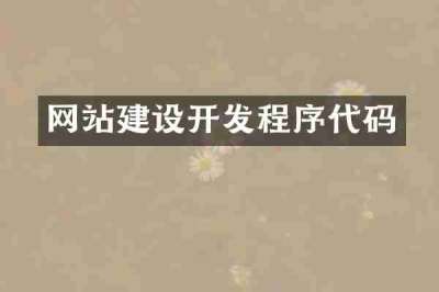网站建设开发程序代码