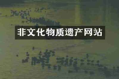 非文化物质遗产网站
