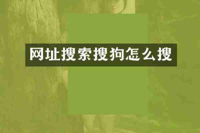 网址搜索搜狗怎么搜
