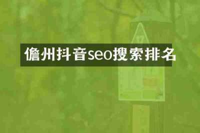 儋州抖音seo搜索排名