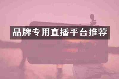 品牌专用直播平台推荐