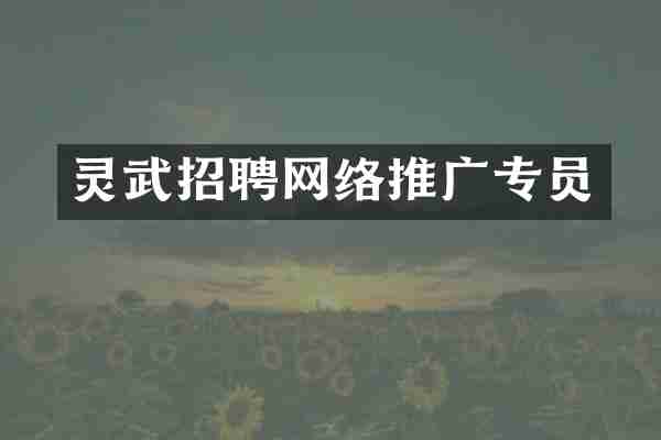 灵武招聘网络推广专员