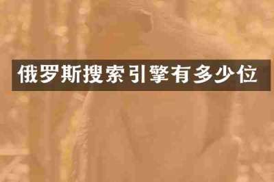 俄罗斯搜索引擎有多少位