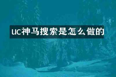 uc神马搜索是怎么做的