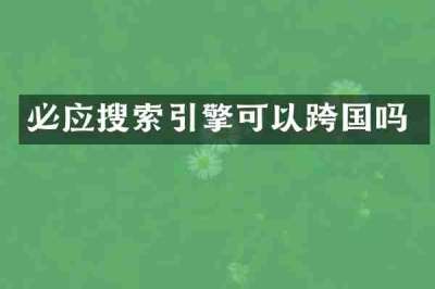 必应搜索引擎可以跨国吗