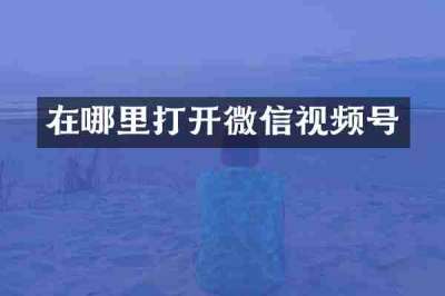 在哪里打开微信视频号