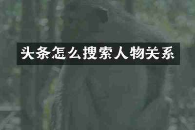 头条怎么搜索人物关系