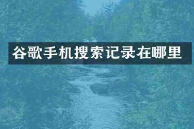 谷歌手机搜索记录在哪里