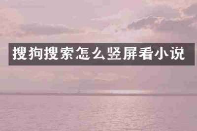 搜狗搜索怎么竖屏看小说