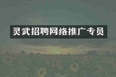 灵武招聘网络推广专员