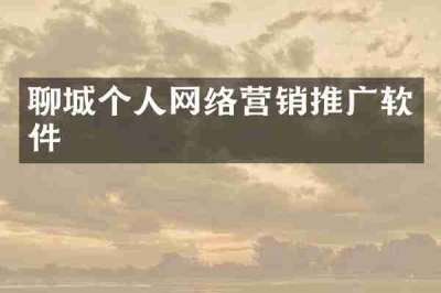 聊城个人网络营销推广软件