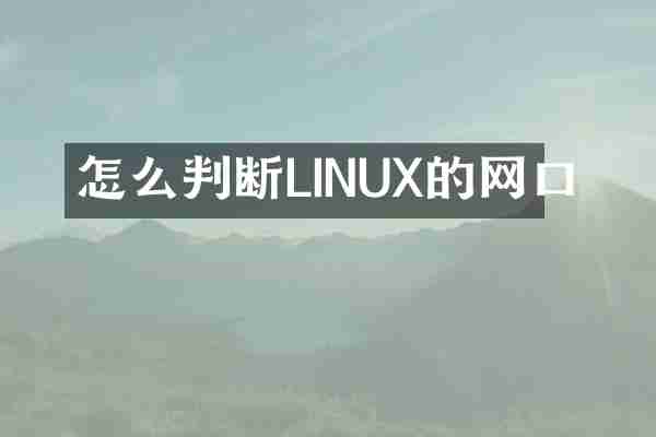 怎么判断LINUX的网口