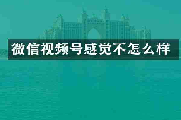微信视频号感觉不怎么样