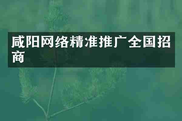 咸阳网络精准推广全国招商