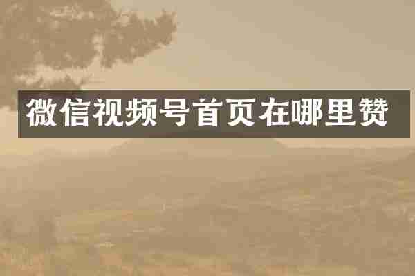 微信视频号首页在哪里赞