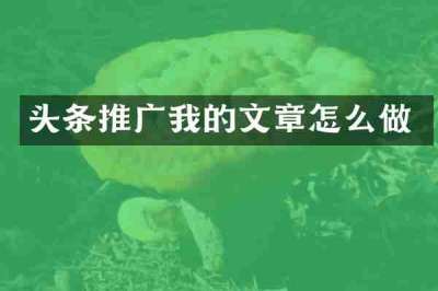 头条推广我的文章怎么做