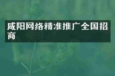 咸阳网络精准推广全国招商