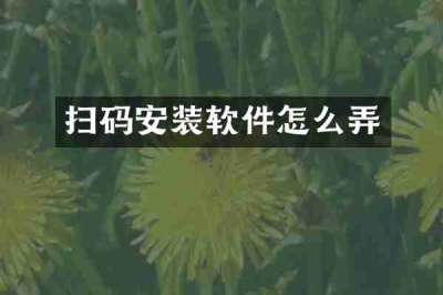 扫码安装软件怎么弄