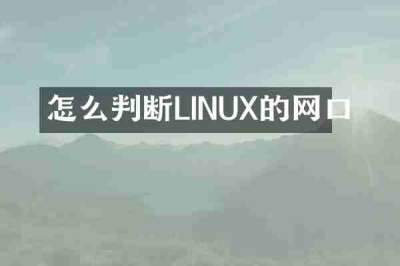怎么判断LINUX的网口