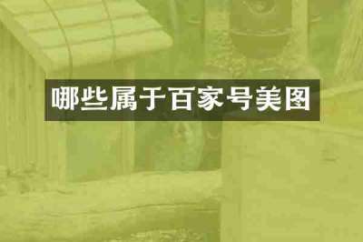 哪些属于百家号美图