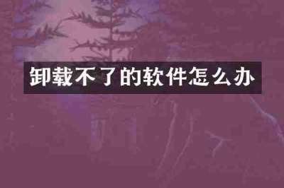 卸载不了的软件怎么办