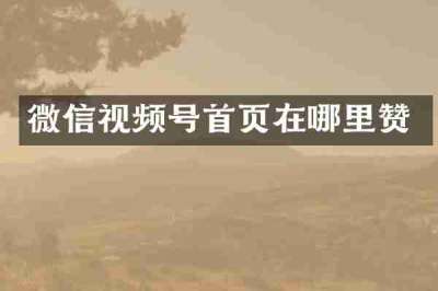 微信视频号首页在哪里赞