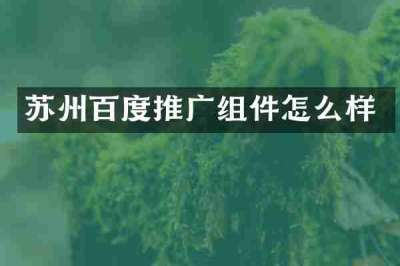 苏州百度推广组件怎么样