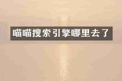喵喵搜索引擎哪里去了