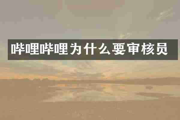 哔哩哔哩为什么要审核员