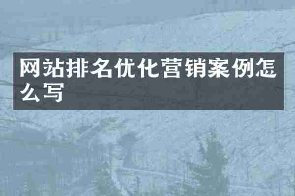 网站排名优化营销案例怎么写