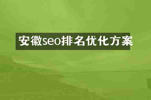 安徽seo排名优化方案