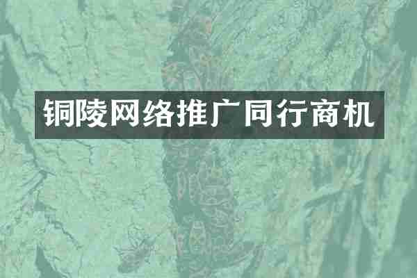 铜陵网络推广同行商机