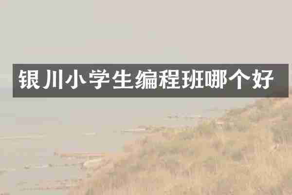 银川小学生编程班哪个好