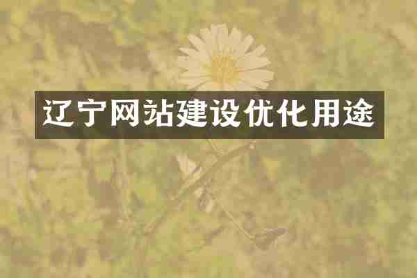 辽宁网站建设优化用途