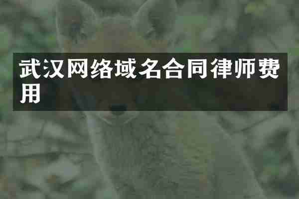 武汉网络域名合同律师费用