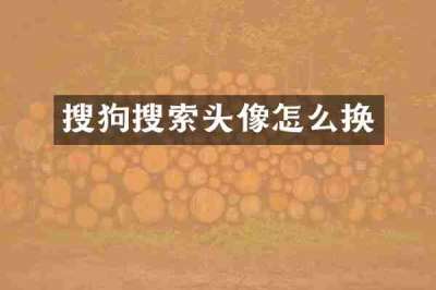 搜狗搜索头像怎么换